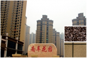 武汉-南车花园——仿大理石漆、砂壁漆