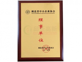 湖北省中心企业协会-理事单位