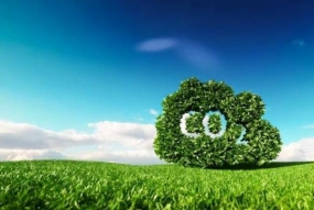 国务院发起3000亿绿色基金 加速实现“双碳”目标